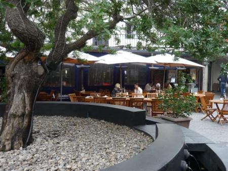 andiamo in gardens