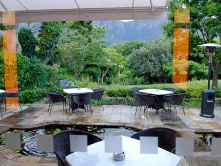 Myoga in newlands