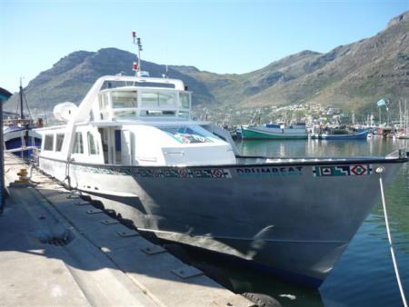 drumbeat charters in hout bay
