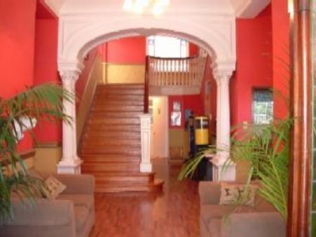 big blue backpackers in green point