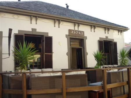 Asoka in gardens