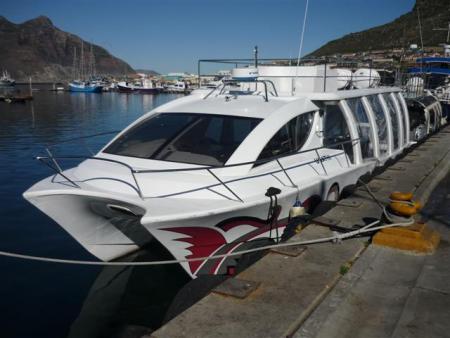 hangberg boat charters in hout bay