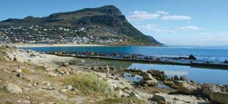flukes in simons town