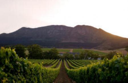 groot constantia in constantia