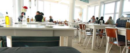 Live Bait in kalk bay
