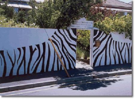 zebra crossing in city bowl