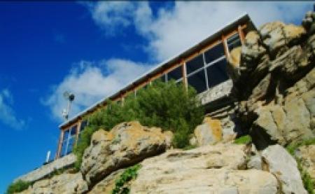 the harbour rock in hermanus