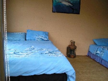 saltycrax backpackers & surflodge in blouberg